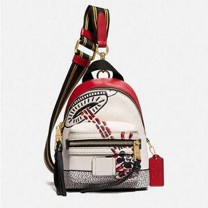 Coach x Disney Mickey Mouse X Keith Haring Academy Backpack 15